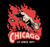 Chicago Lit Since 1871