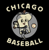 Vintage Chicago Baseball Southside Team