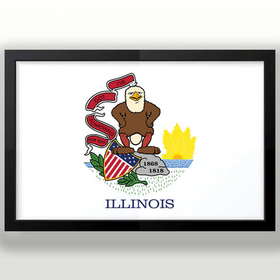 Illinois Insurance Flag Print